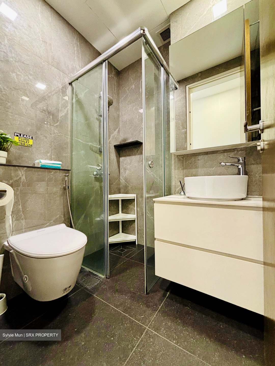 Balmoral Heights (D10), Apartment #556608991